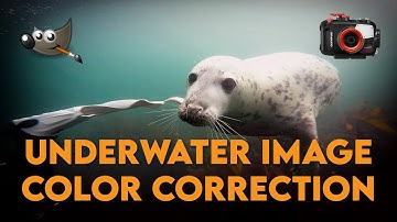 Color Correcting Underwater Photos with GIMP