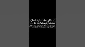 آية28 من سورة البقرة|سورة البقرة مقسمة آية بآية|