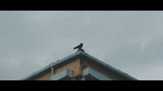 Doğan Ak Feat. St35 - Merhem (2026)