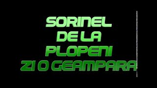 SORINEL DE LA PLOPENI    ZI O GEAMPARA