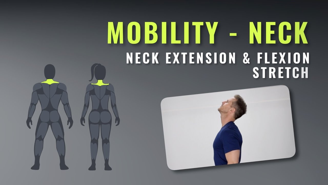Neck Mobility Extension & Flexion Stretch. YouTube
