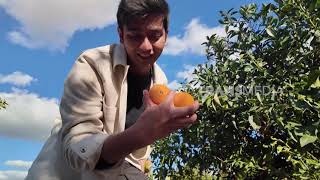 Download Lagu Kisah Para Pejuang Iman | JEJAK ALQURAN Part 2 (22/02/26) #islam #muslim MP3