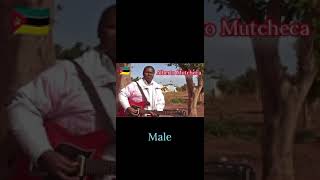 Alberto Mutcheca - Male