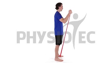 External rotation in scapular plane