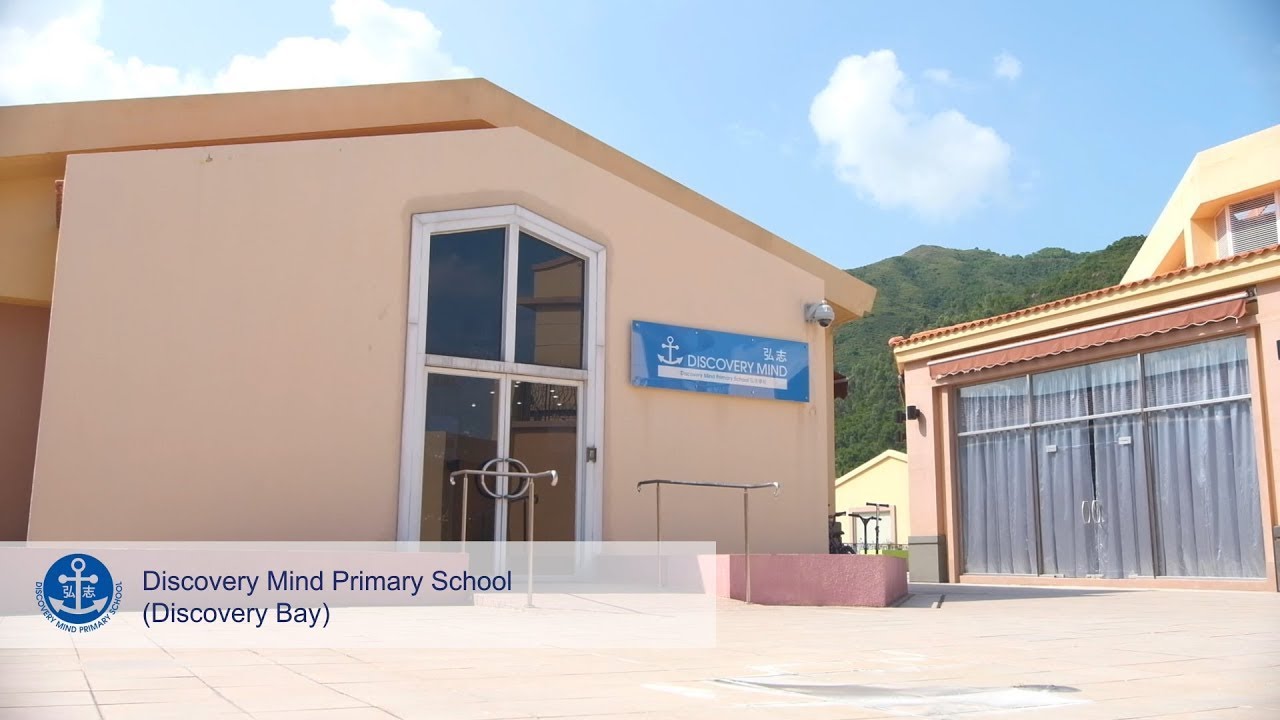 Discovery Mind Educational Organisation