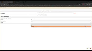 Document Management System (DMS)