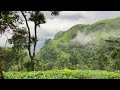 7 acre beautiful land for sale in vagamon  pullikkanam