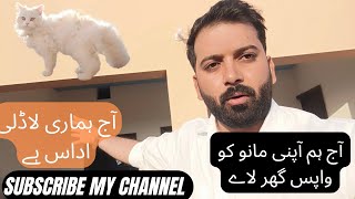 Aaj Ham Apni Cat KO Wapis Ghar Lay Kay Ay Hain by Animal Lovers With Sardar 112 views 3 months ago 5 minutes, 47 seconds