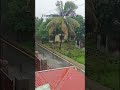 Raining in Britinagar||#britanagar