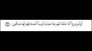 Surah Yaseen recitation 71 to 83 with verses