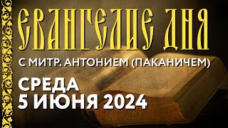 Среда, 5 июня 2024 года. Толкование Евангелия с митрополитом Антонием (Паканичем).