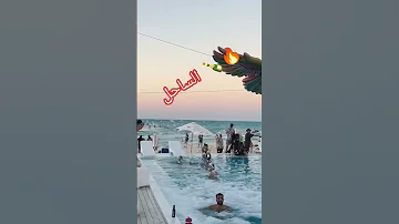 رقص ساحل رقص شرقي رقص تانجو لايف تانجو برايفت تانجو لايف Tangodance Marassi رقص Tangolive 
