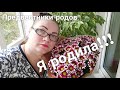 Я родила! Предвестники родов.