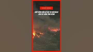 Cháy rừng mùa hè đen tại Australia làm suy giảm tầng ozone