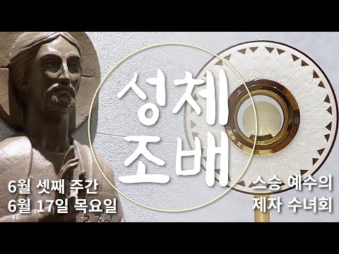 영상썸네일