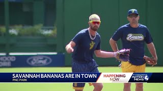 Banana Ball in Pittsburgh: Savannah Bananas take over PNC Park