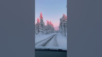 Thumbnail of Winter wonderland in Lapland, Finland Music by Time After Time - Paratone 🎶 #shorts #travel #trends