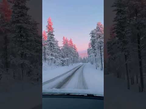 Winter Wonderland In Lapland Finland Music By Time After Time Paratone Shorts Travel Trends Winter Wonderland In Lapland Finland Music By Time After Time Paratone Shorts Travel Trends