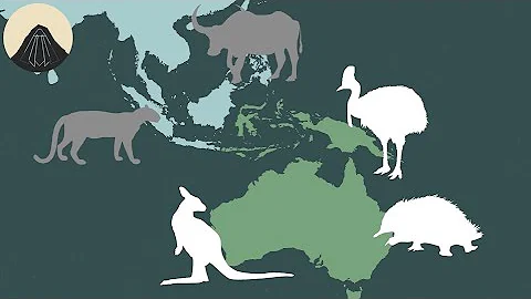 The Story Behind Australia's Weird Animals