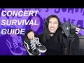 CONCERT ESSENTIALS, HACKS, + MEET & GREET TIPS