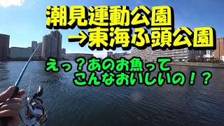 【第32話】潮見運動公園,東海ふ頭公園 クロダイを追いかけてここに来てみました！【2022-02-05】