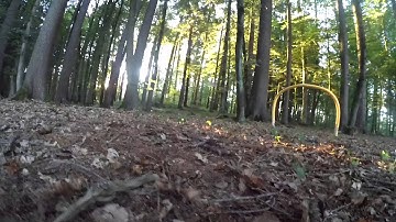 Crow: First FPV forest flight with ImmersionRC Vortex