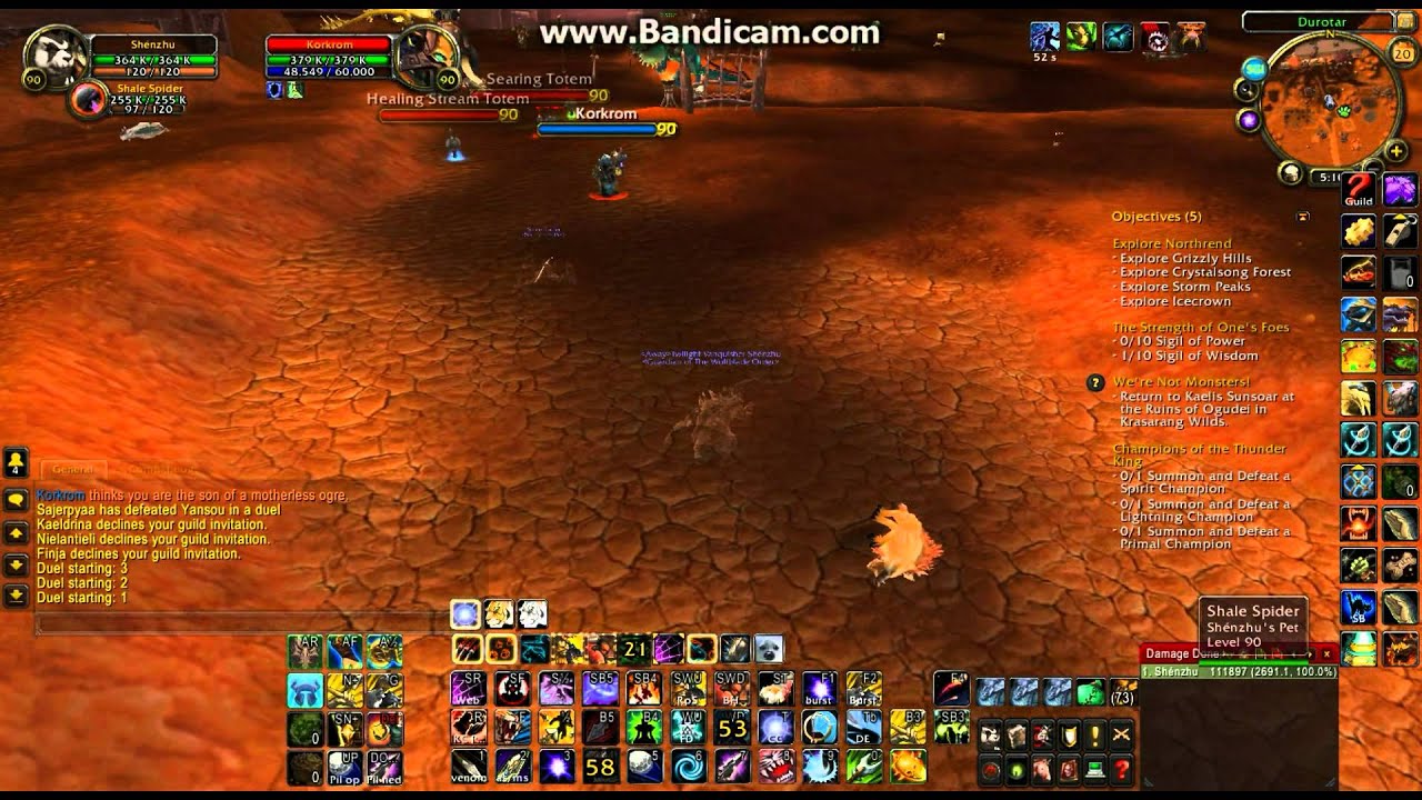 BM Hunter owns Enhancement shaman 5.2