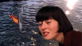 Famous Thanks for Coming - Stephen Hawking's goldfish analogy (Official Video) Wealth