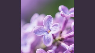 Peluk yang Tidak Jadi