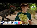 Dinosaur Escape Showdown! - T-Rex Kids Show | MOONBUG Kids Superheroes