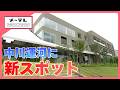 中川運河に新しい複合施設が18日オープン コンセプトは「水辺と暮らす」 人気パン店も (26/06/16 18:14)