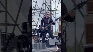 На фесте #music #rock #rockmusic #concert #live #livemusic #shortvideo #музыка #song #musica #short