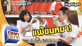 ฉันแพ้ขนหมา! | ตลก 6 ฉาก