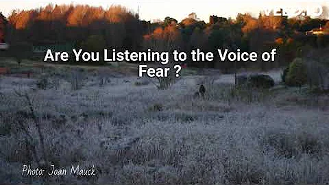 Are You Listening to the Voice of Fear?
