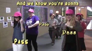 Pass The Test (tune of Shake it Off)