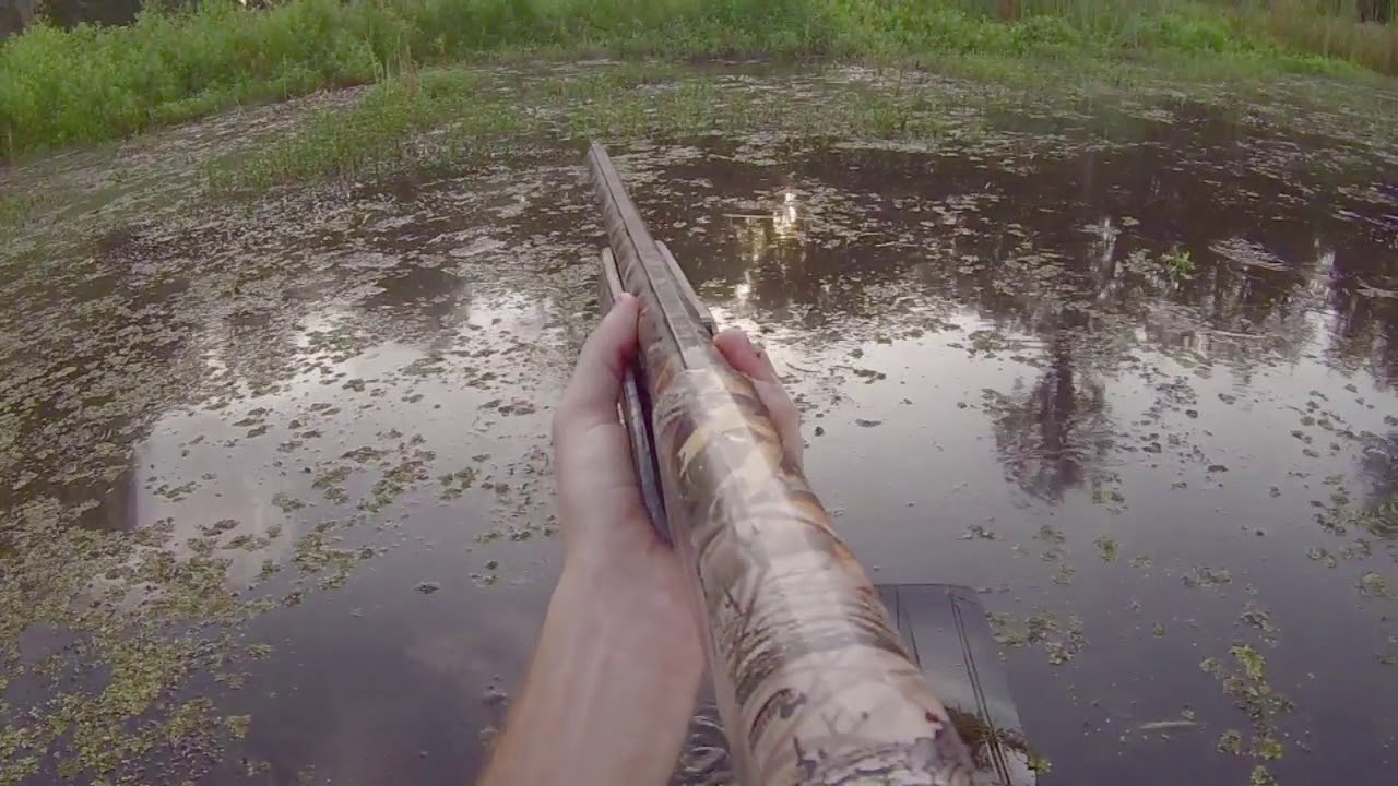 DreamTeamTV: Moorhen hunting