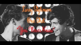 Larry Stylinson One Shot 'You Never Know'