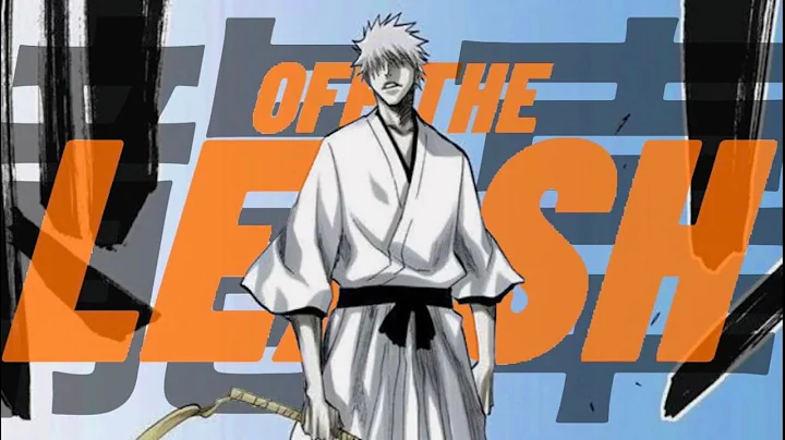 OFF THE LEASH // BABYSANTANA & YVNGXCHRIS AMV