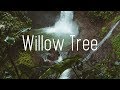 Rival X Cadmium - Willow Tree (Lyrics) ft. Rosendale