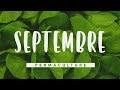 Que faire dans son jardin permaculture en septembre ?   # permaculture