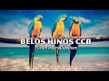 Belos hinos ccb hinrio 5  melhor trilha sonora instrumental