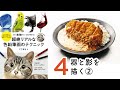 カツカレー【器と影を描く②】～超絶リアルな色鉛筆画のテクニック～ ここまる / 色鉛筆画