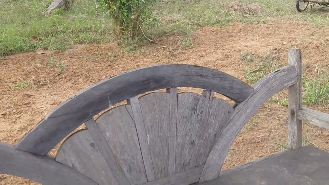 Heute bin ich alleine im Garten.