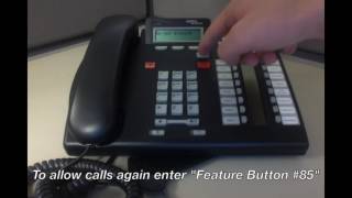 Nortel Phones - Do Not Disturb