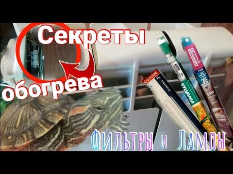 Красноухие черепахи секреты обогрева. Лампы фильтры и водонагреватели. Расположение акватеррариума