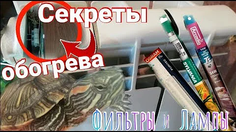 Красноухие черепахи секреты обогрева. Лампы фильтры и водонагреватели. Расположение акватеррариума