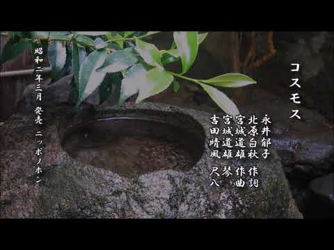 コスモス　北原白秋 作詞／宮城道雄 作曲／永井郁子／宮城道雄 琴／吉田晴風 尺八【箏曲 レコード】