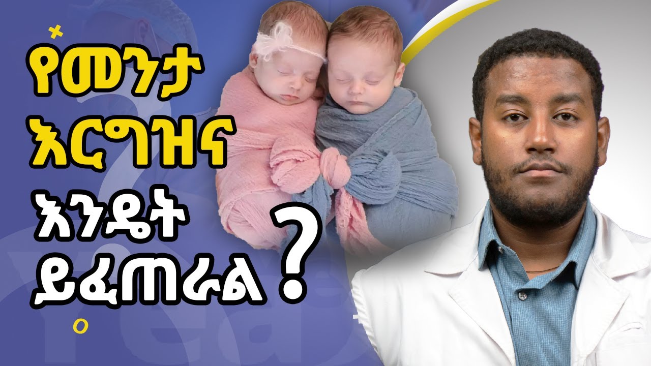 መንታ እርግዝና እንዴት ይፈጠራል ?