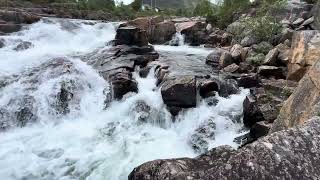 Ørret hopper i strykene i elva Otra - Hovden, Setesdal