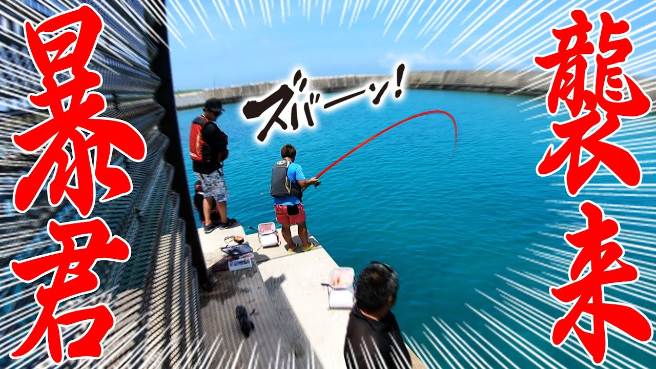 Confronting a fish that invaded the fishing port and bit off your